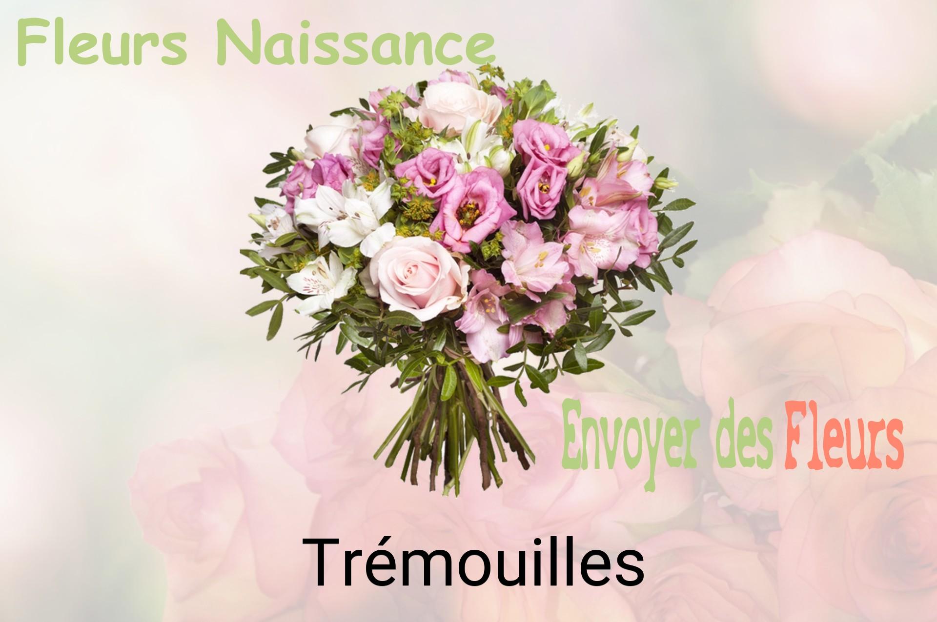 Bouquet de fleurs de naissance livré à Trémouilles