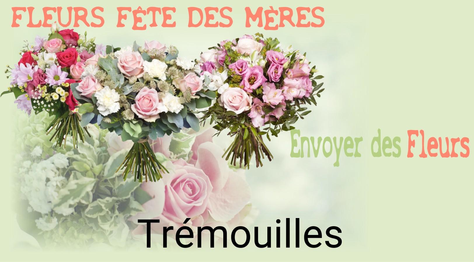 Bouquet de Fête des Mères livré à Trémouilles